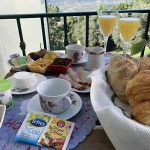 Charming Cozy Retreat - Terrace & Private Balcony Bed & Breakfast
